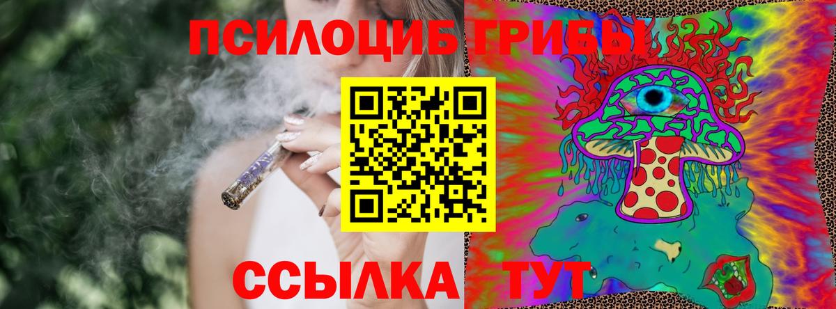 Биробиджан  Галлюциногенные грибы Cubensis  Галлюциногенные грибы Psilocybe  Вход с VPN 